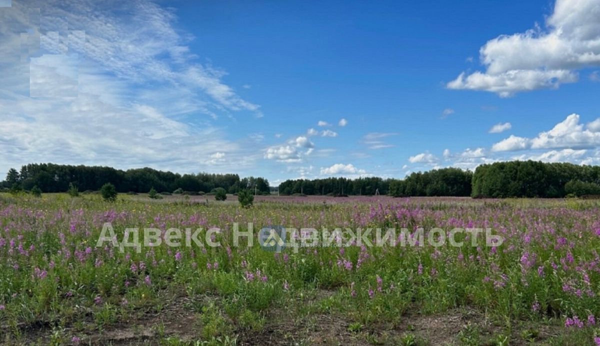 дом р-н Тюменский Онегин кп, ул. Миллионная, 3 фото 4