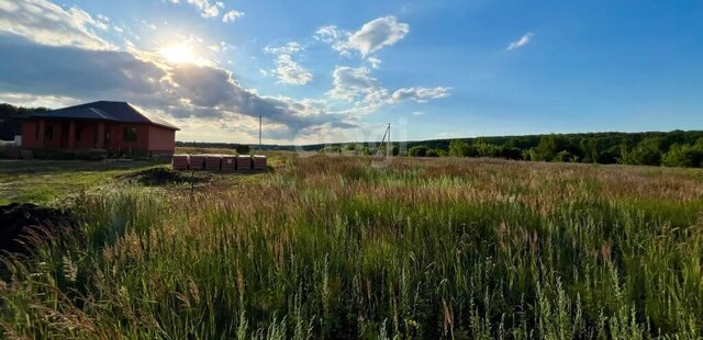 п Добровольный ул Лесная фото