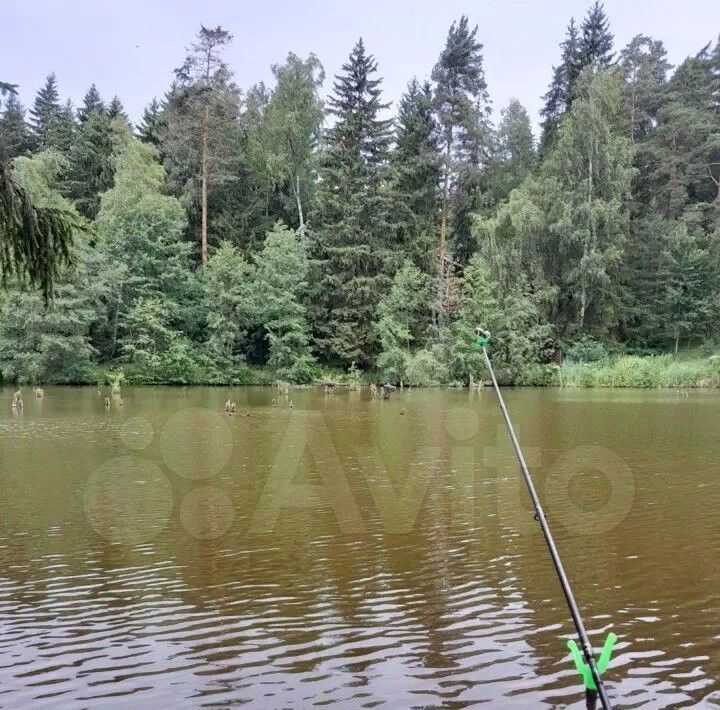 земля городской округ Чехов д Крюково 23 фото 2