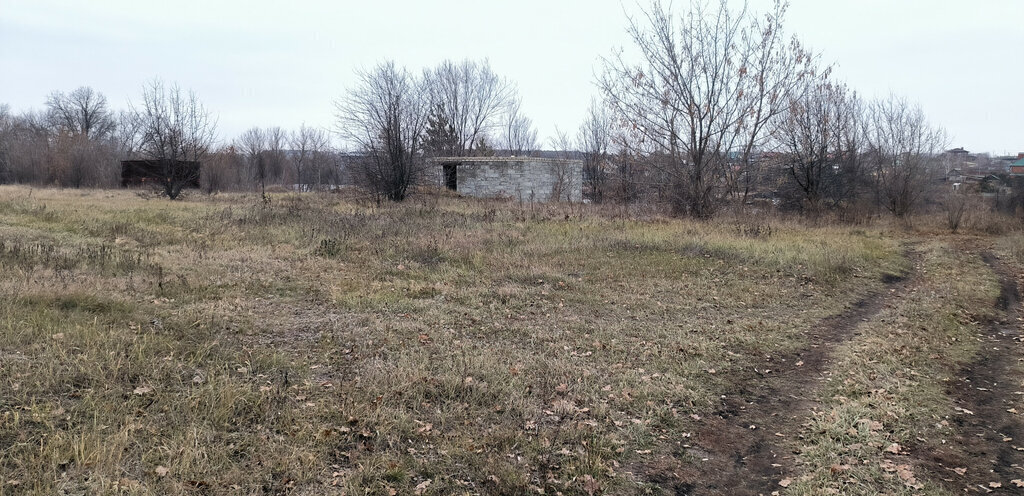 земля р-н Сызранский с Заборовка Набережная улица фото 8