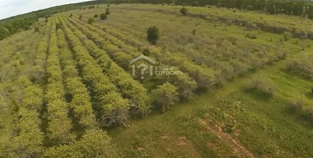 земля р-н Лужский д Наволок Скребловское сельское поселение фото 1