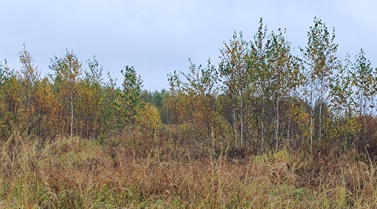 офис городской округ Раменский д Володино фото 1