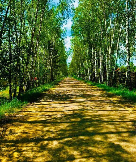 земля г Серпухов городской округ Серпухов фото 4