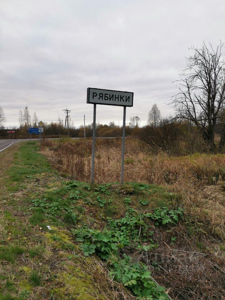 земля городской округ Шаховская д Рябинки Волочановское шоссе фото 7