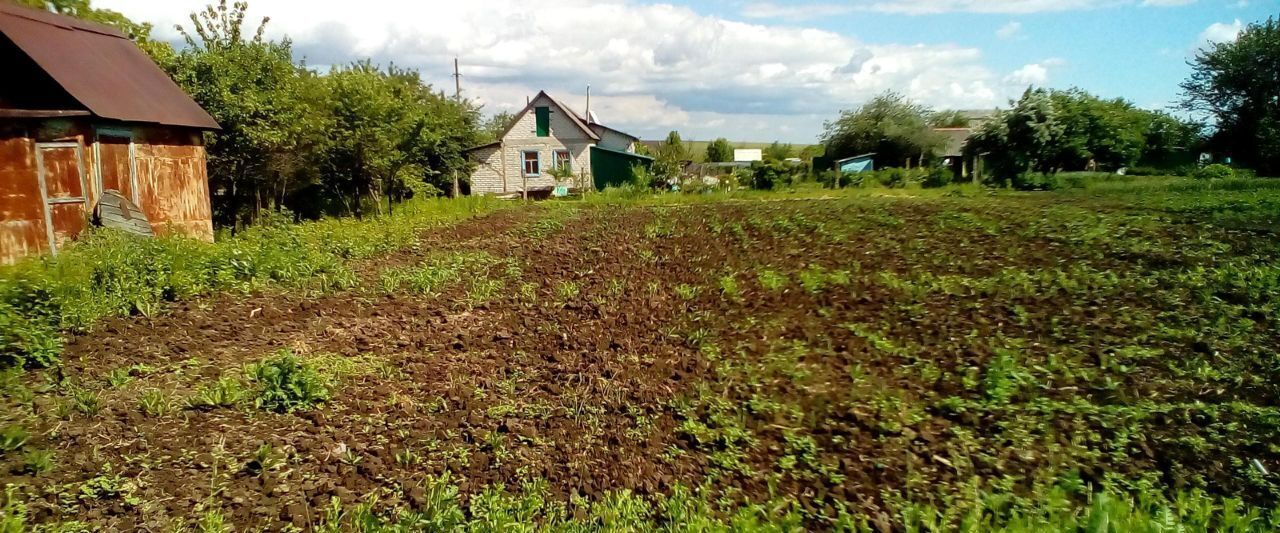 земля р-н Курский д Халино снт Березка сельсовет, 237, Клюквинский фото 1