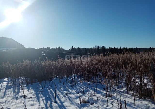 д Захаровка ул Мамина-Сибиряка Черноисточинск фото