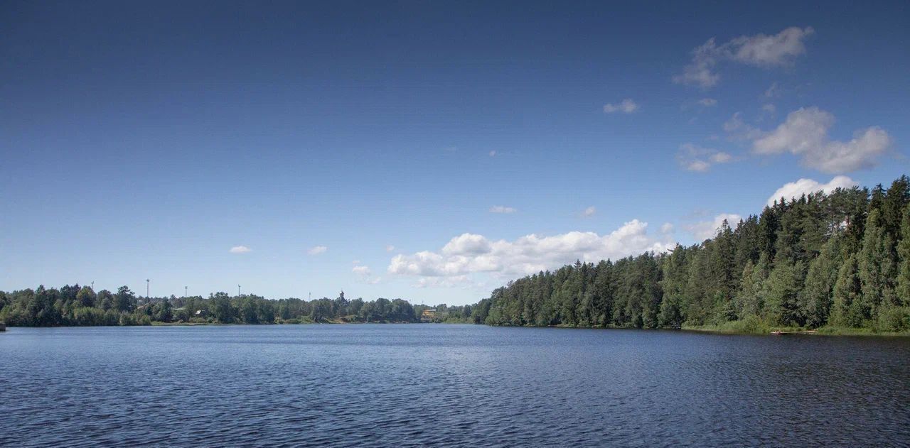 земля р-н Выборгский п Рощино Рощинское городское поселение, Еловая аллея фото 16