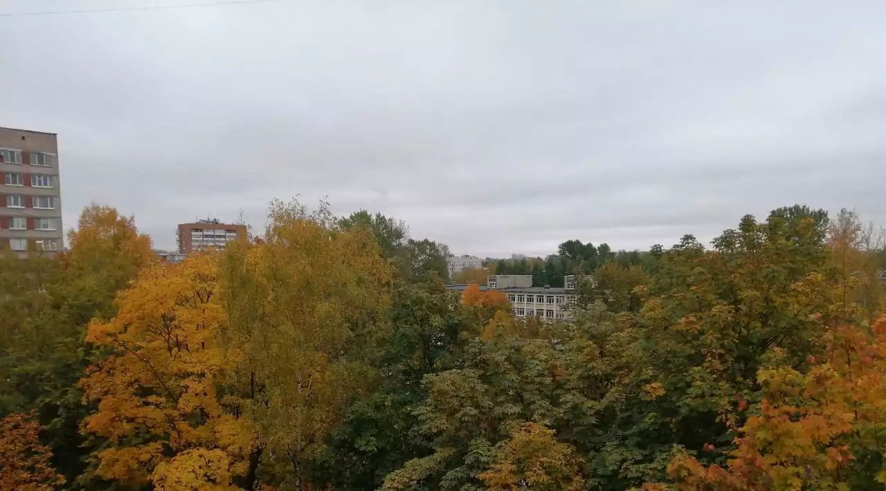 квартира г Санкт-Петербург метро Новочеркасская пр-кт Новочеркасский 22/15 фото 14