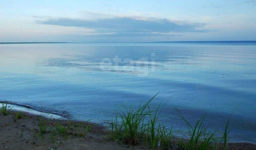 земля р-н Вологодский деревня Борисово Борисовский сельсовет фото 5