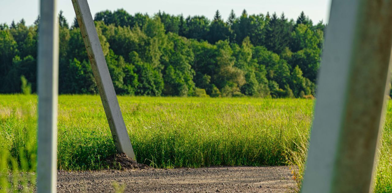 земля г Санкт-Петербург п Левашово Беговая, 24 фото 4