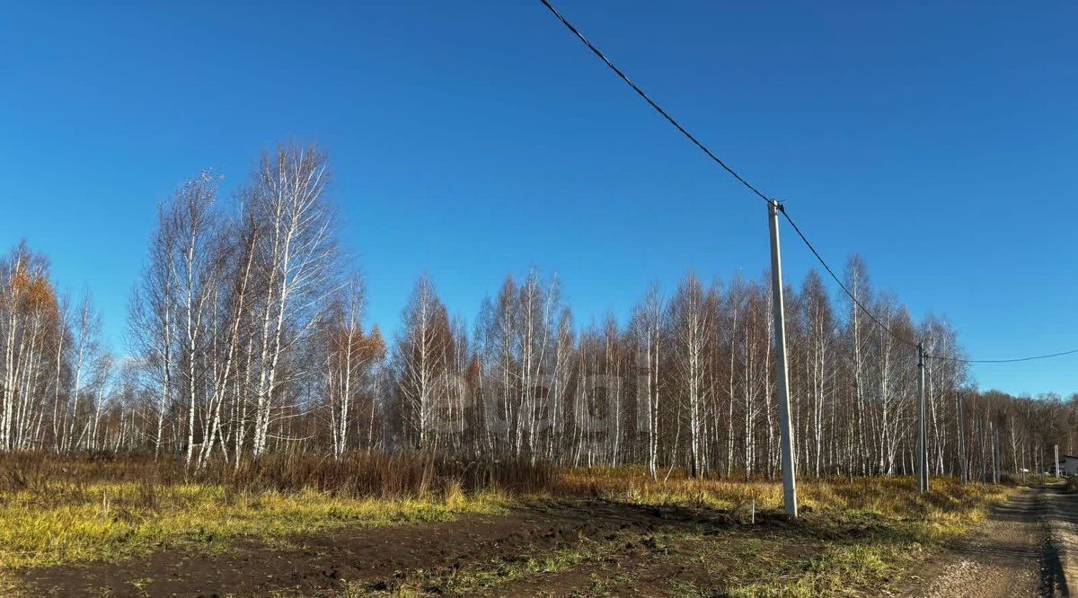 земля р-н Веневский д Новоселки Центральное муниципальное образование фото 9