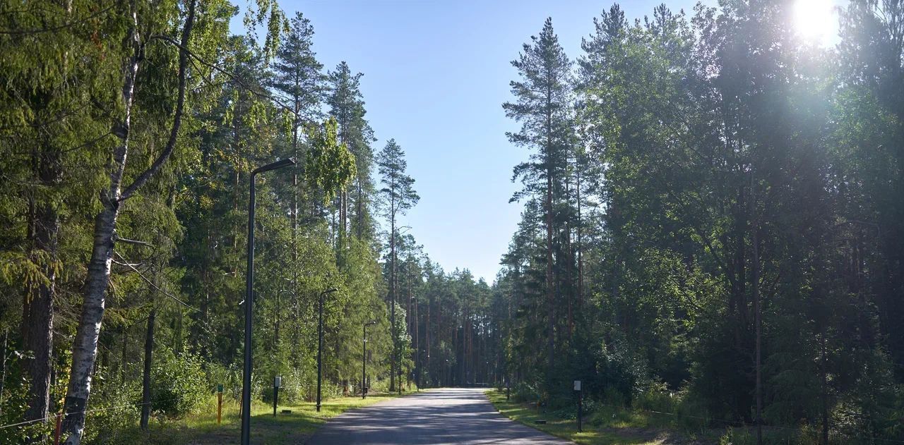 земля р-н Выборгский п Рощино Рощинское городское поселение фото 23