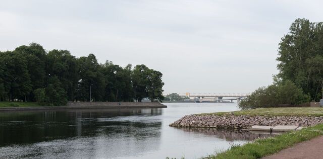 пр-кт Приморский 50 Старая Деревня фото