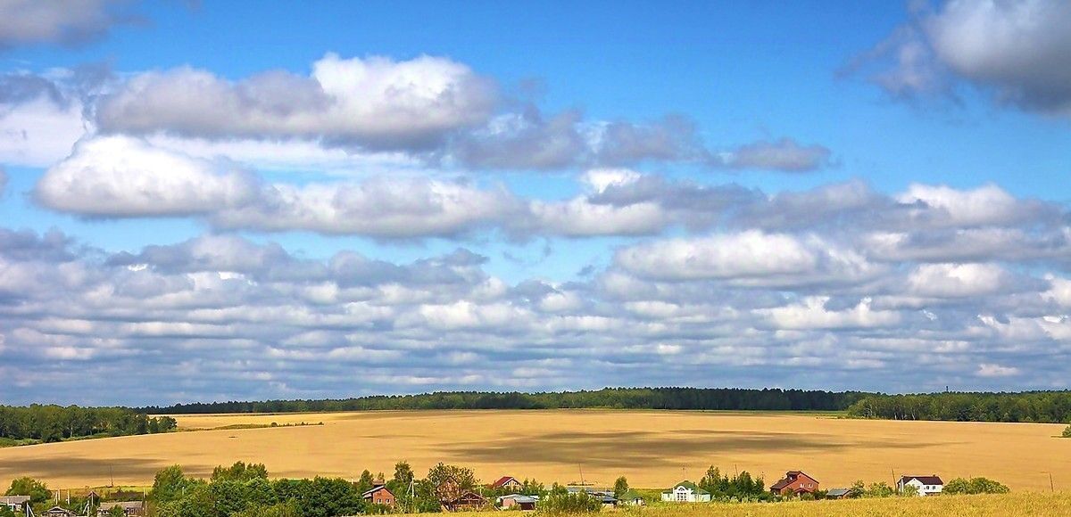 земля городской округ Ступино д Зевалово фото 6