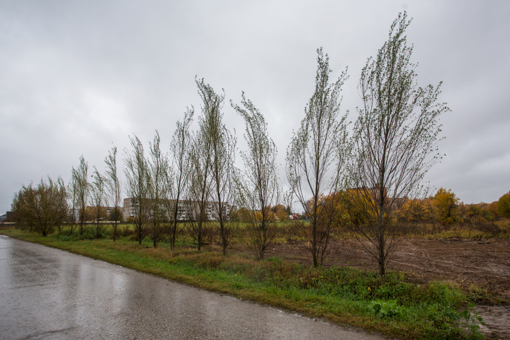 дом г Домодедово Russia, BARYBINO, Barybino, 32/2, ulitsa Sadovaya, derevnya Galchino фото 10