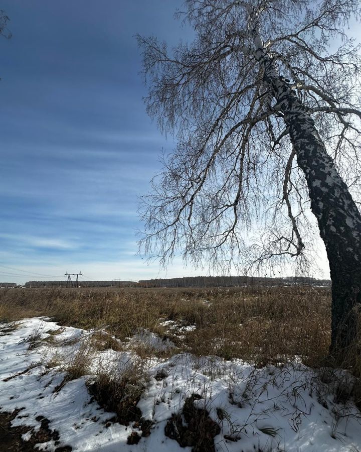 земля р-н Сосновский с Большие Харлуши Кременкульское сельское поселение, коттеджный пос. Новые Харлуши, Челябинск фото 3