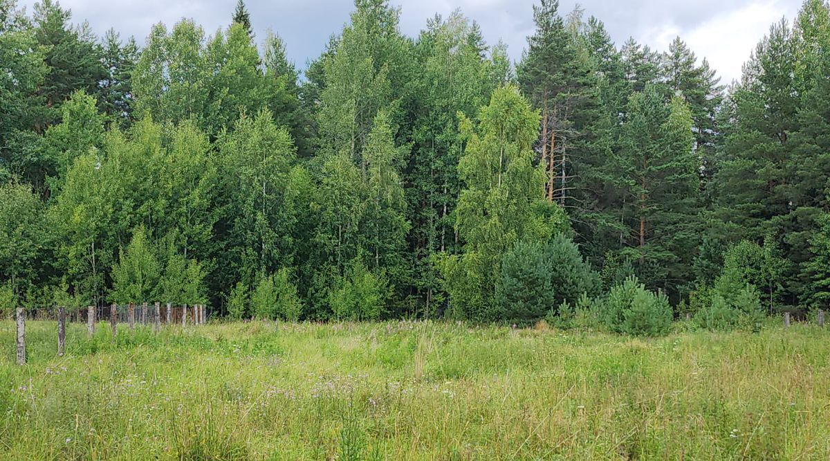 земля р-н Волховский д Октябрьская Свобода Пашское с/пос фото 10