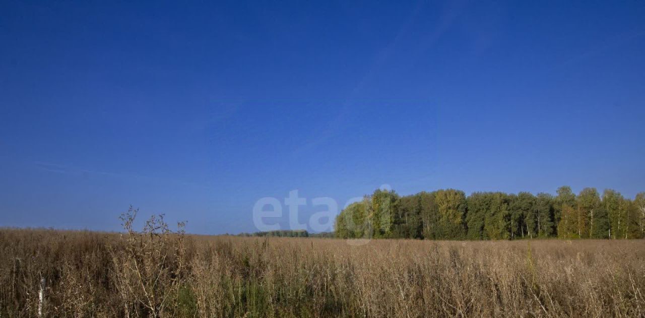 земля р-н Тюменский д Большие Акияры Червишевское сельское поселение фото 9