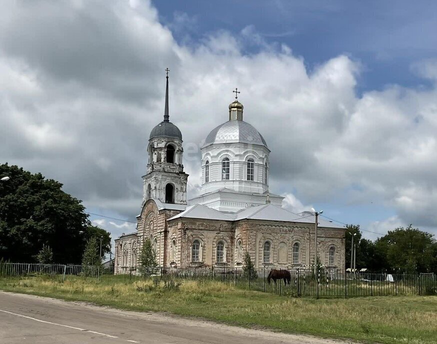 земля р-н Каширский с Каширское ул Красноармейская Каширское сельское поселение фото 3