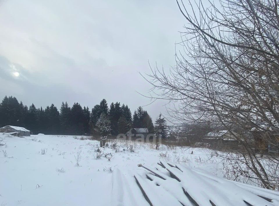 земля р-н Кемеровский с Андреевка ул Садовая фото 2