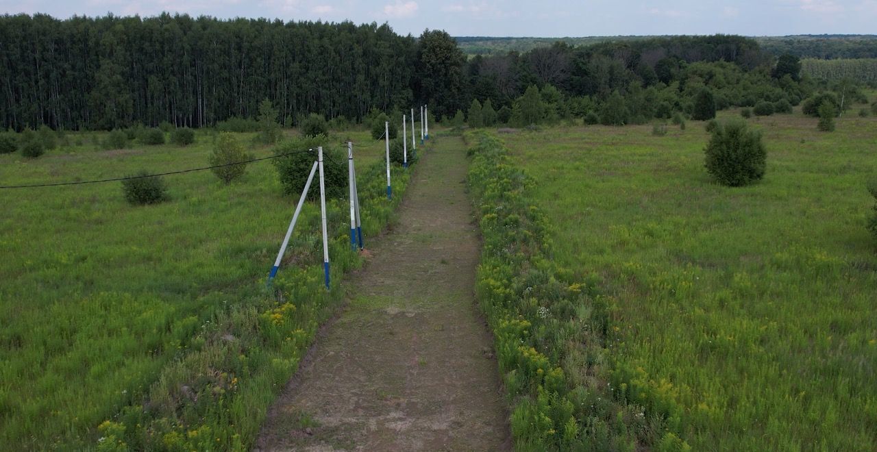 земля направление Павелецкое (юго-восток) ш Каширское 126 км, 46Н-11103, Узуново фото 7