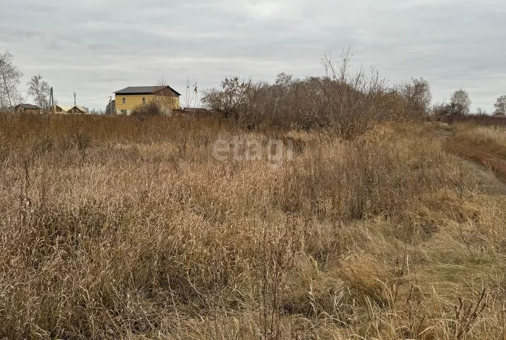 земля р-н Омский п Новоомский фото 2