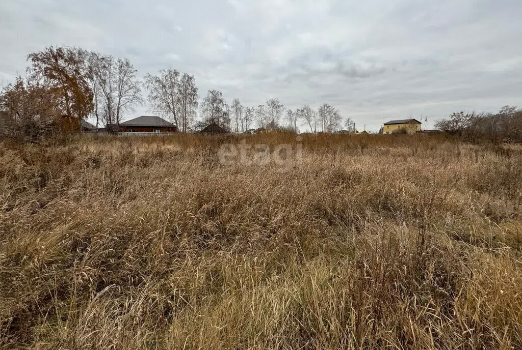 земля р-н Омский п Новоомский фото 4