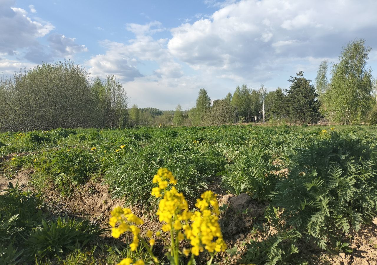 земля городской округ Дмитровский д Гришино 9759 км, Деденево, Дмитровское шоссе фото 11