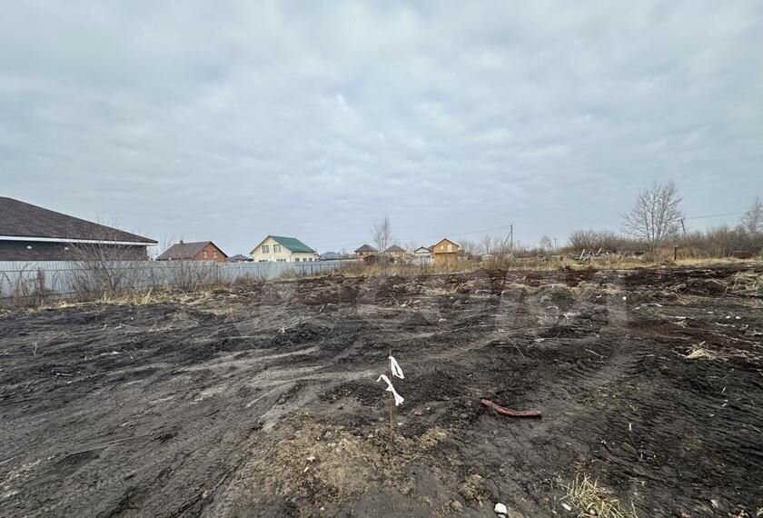 земля г Тюмень р-н Центральный снт Луч Центральный административный округ фото 4