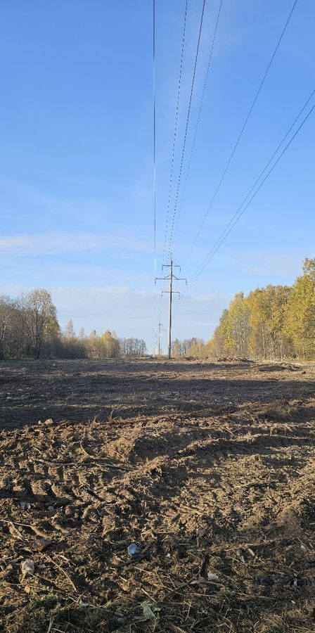 земля городской округ Клин д Борисово снт Сигнал 71 км, Клин, Ленинградское шоссе фото 1