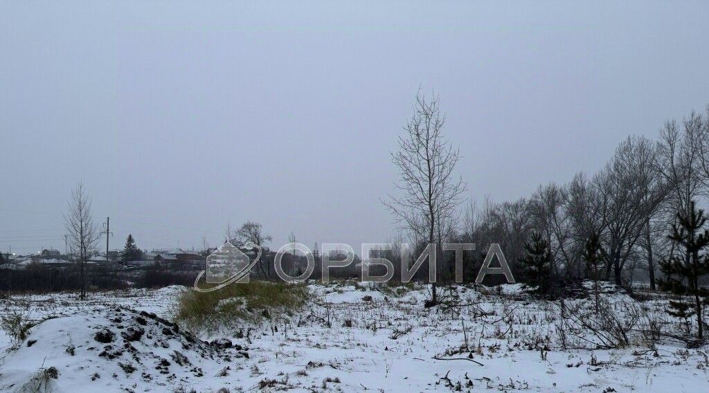 земля р-н Тюменский с Луговое фото 5