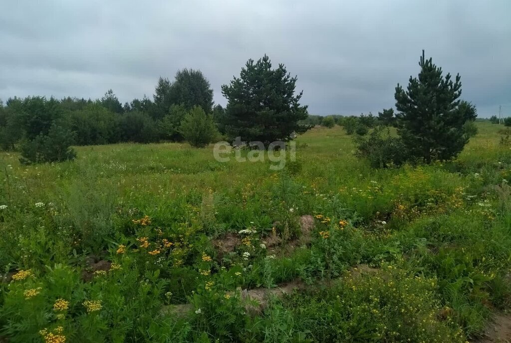 земля г Камышлов фото 1