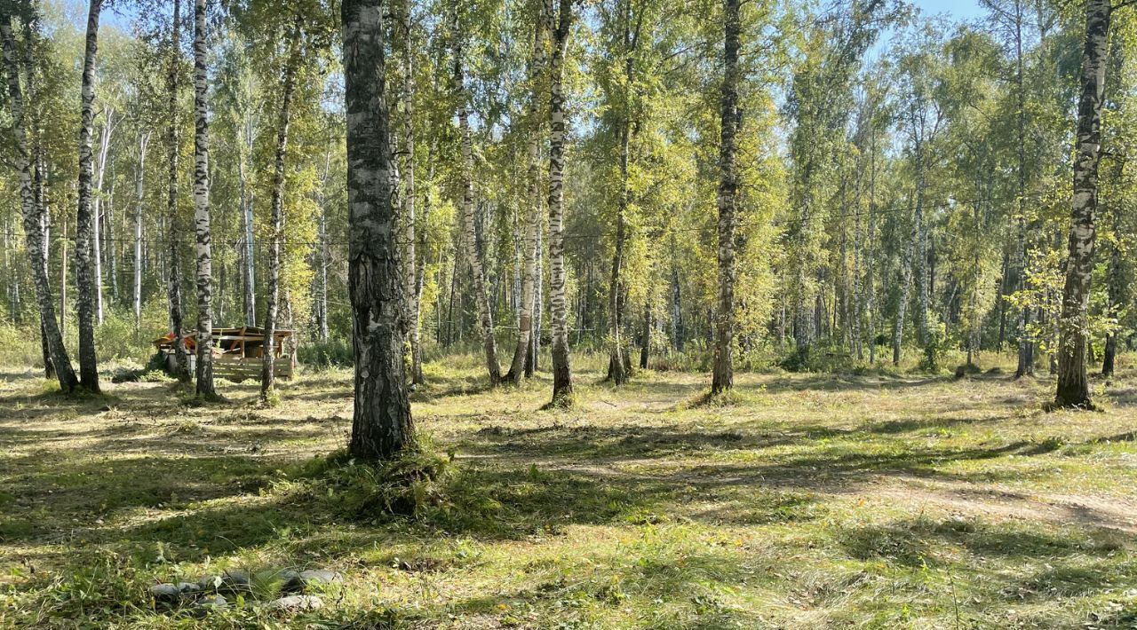 земля р-н Майминский с Манжерок Манжерокское сельское поселение фото 18