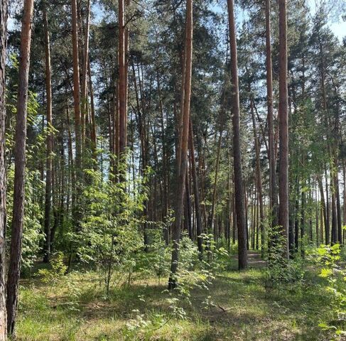 земля р-н Ржаксинский п Тамбовский Новолядинский поссовет фото