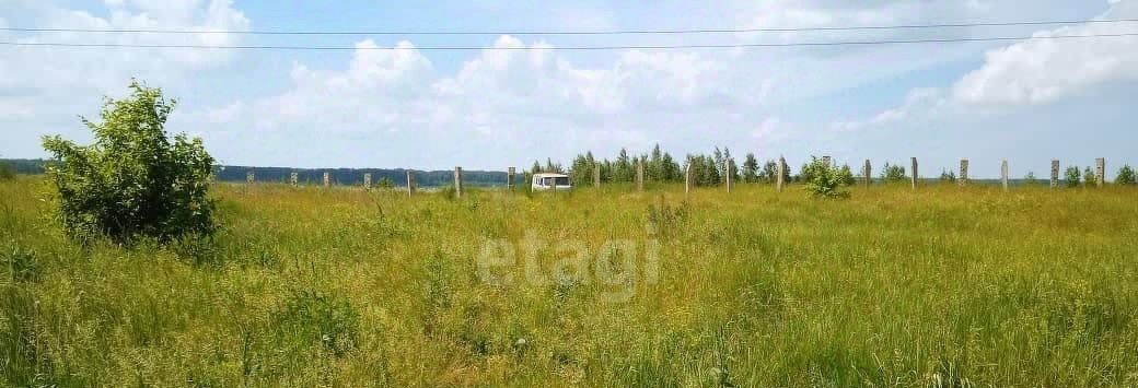 земля г Копейск снт Курочкино-1 ул. Лесная фото 1