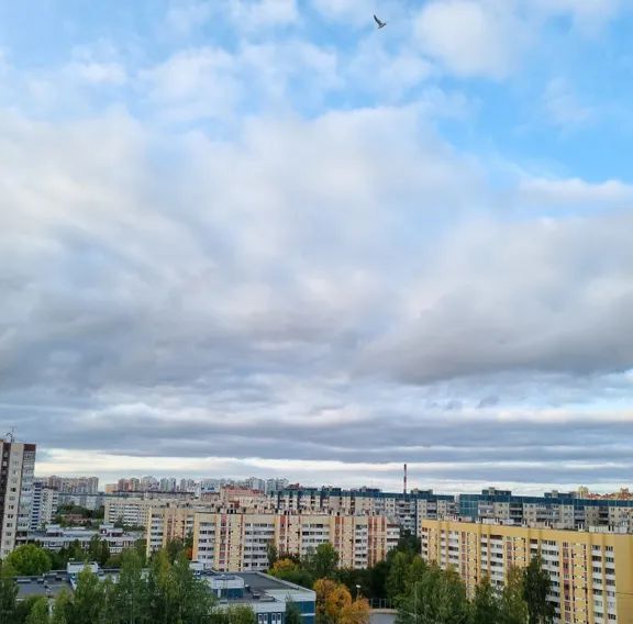 квартира г Санкт-Петербург метро Комендантский Проспект пр-кт Комендантский 17к/2 фото 4