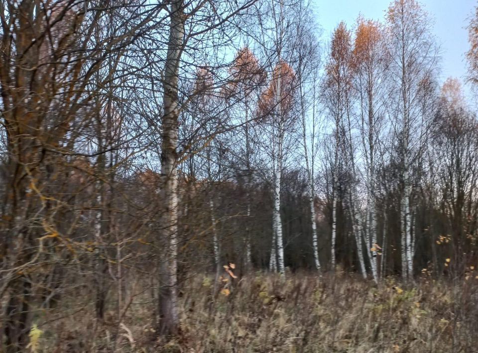 земля городской округ Ступино д Акатово фото 4