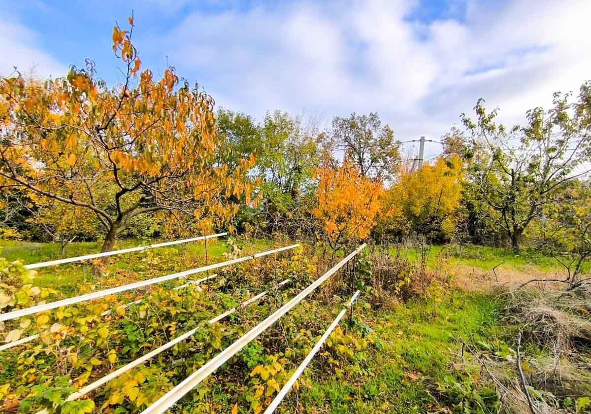 земля г Алушта с Малый Маяк ул Солнечная фото 5