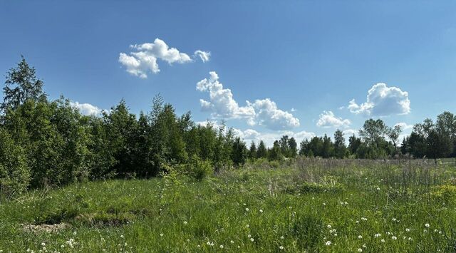 земля д Видовичи фото