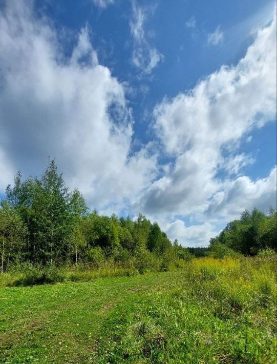 земля р-н Богородский д Килелей фото 1