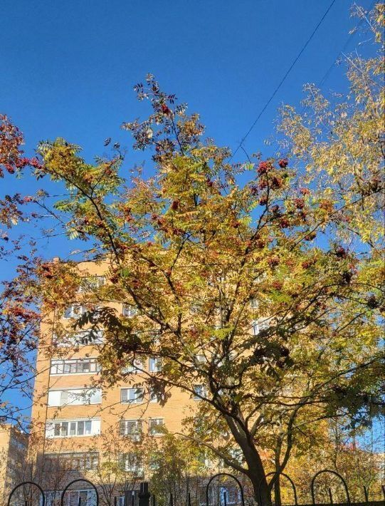 квартира г Балашиха мкр Железнодорожный ш Саввинское 4 Железнодорожная фото 30