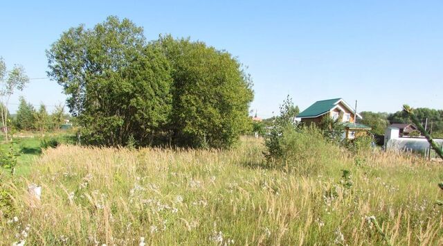 д Куземкино Коломна городской округ фото