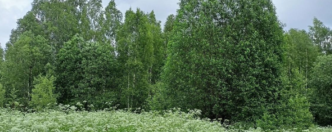 офис городской округ Дмитровский д Новинки фото 1