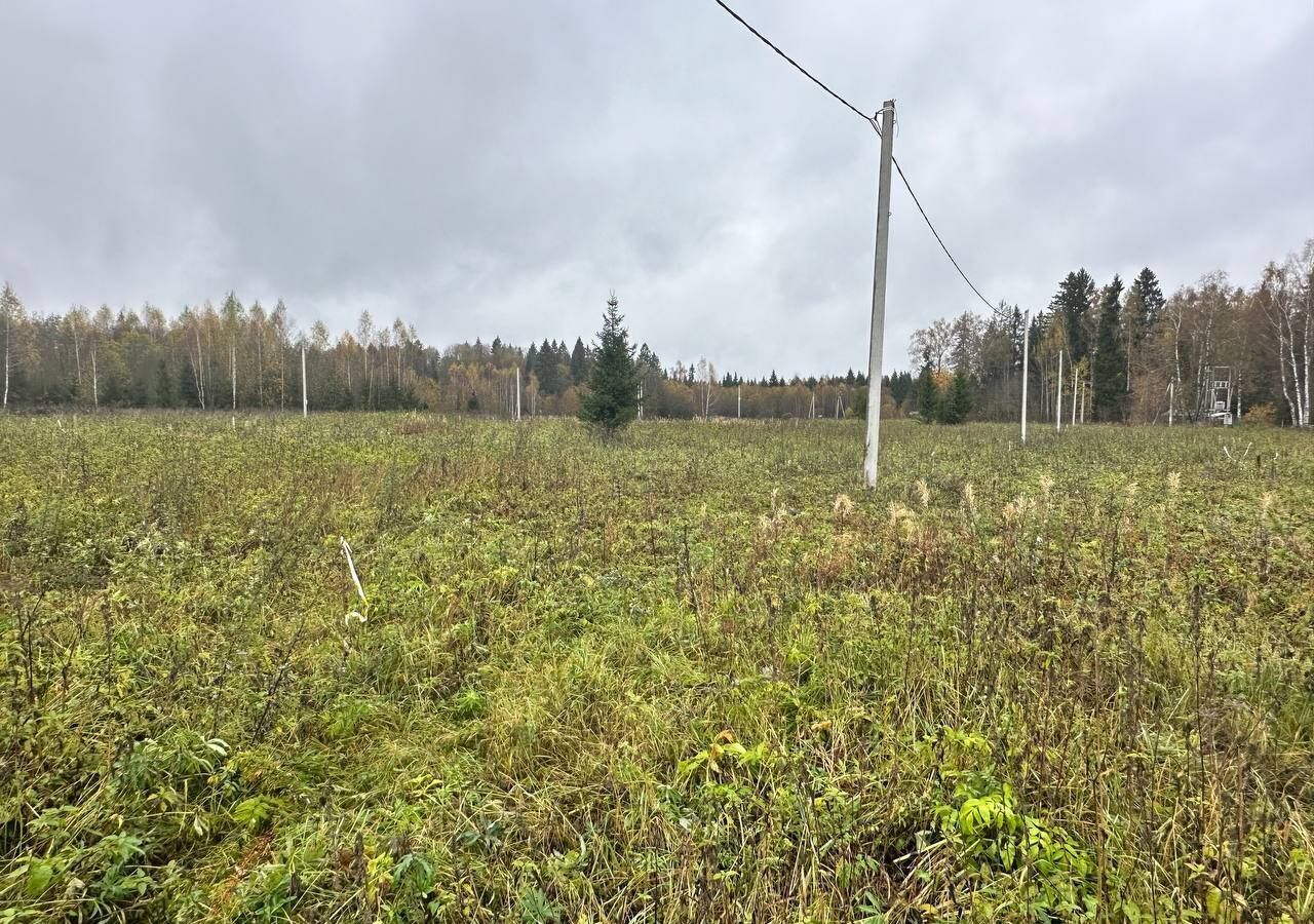 земля городской округ Клин г Высоковск 70 км, д. Захарово, г. о. Клин, Ленинградское шоссе фото 25