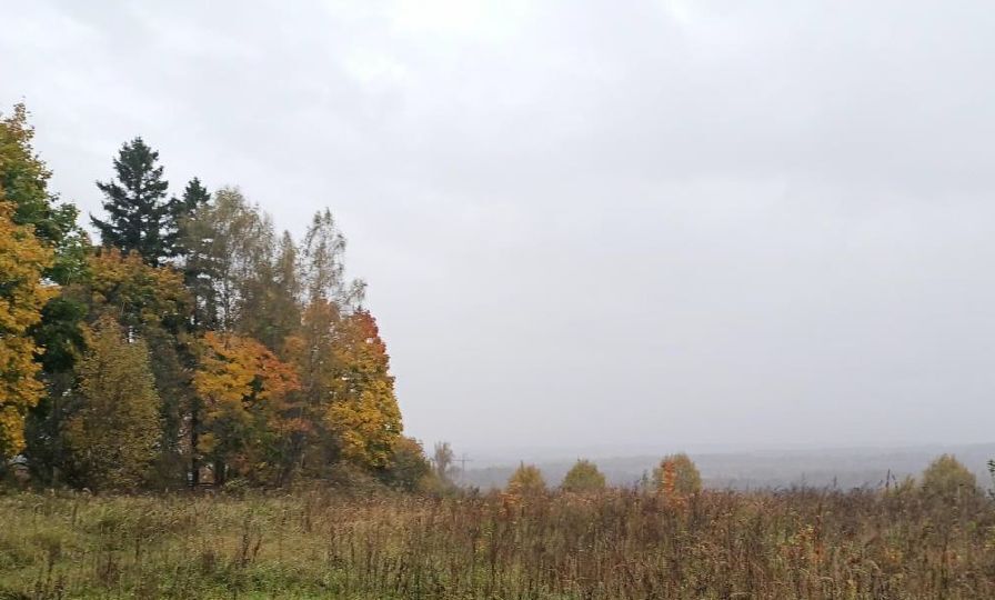 офис городской округ Дмитровский с Глухово фото 1