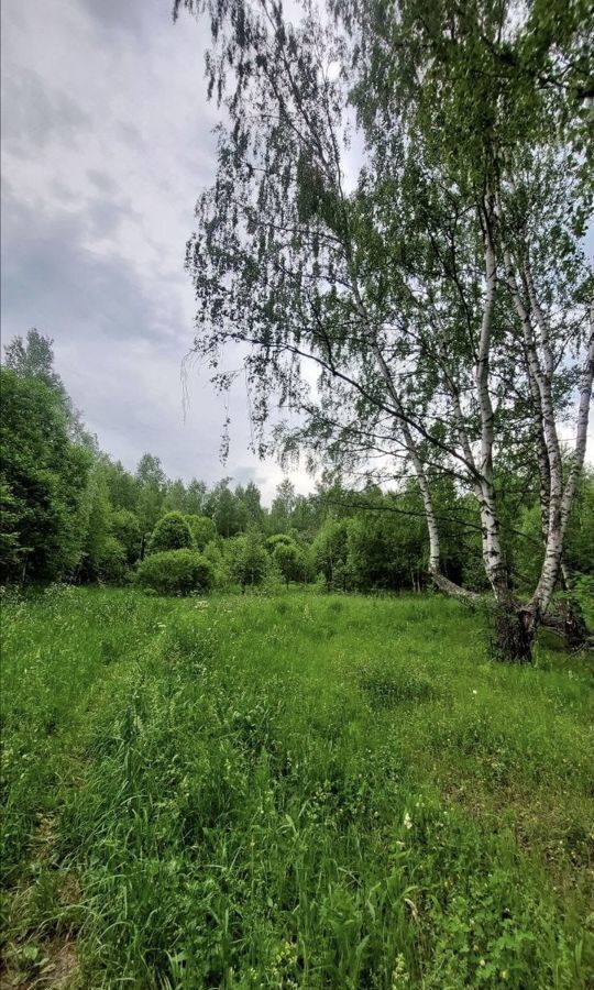 земля р-н Богородский д Килелей Буревестник фото 1