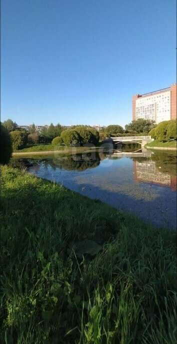 квартира г Санкт-Петербург метро Проспект Славы ул Будапештская 31к/1 фото 10