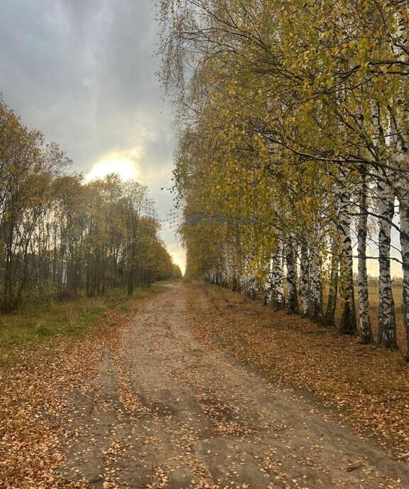 земля р-н Дивеевский фото 2