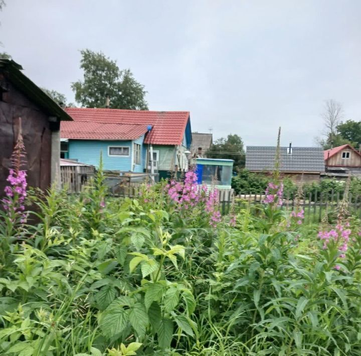 земля р-н Онежский г Онега пр-кт Октябрьский Онежское городское поселение фото 10