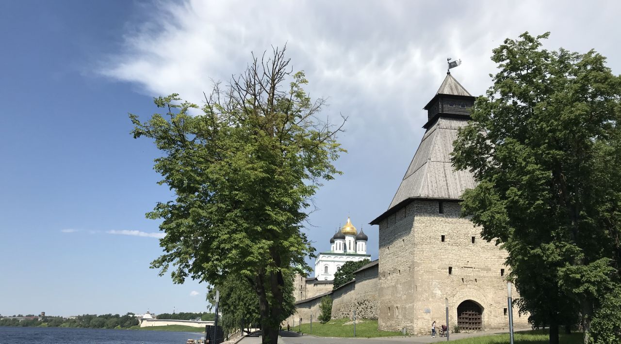 квартира г Псков наб Реки Великой 4 фото 18